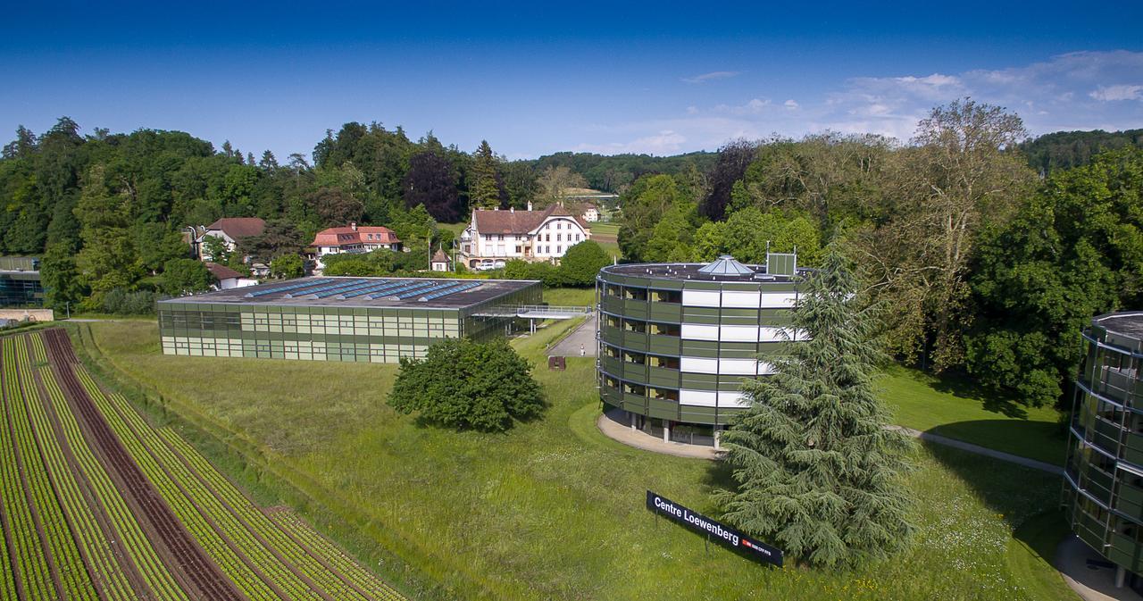 Centre Loewenberg Hotel Murten Bagian luar foto